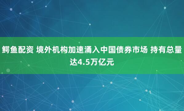 鳄鱼配资 境外机构加速涌入中国债券市场 持有总量达4.5万亿元