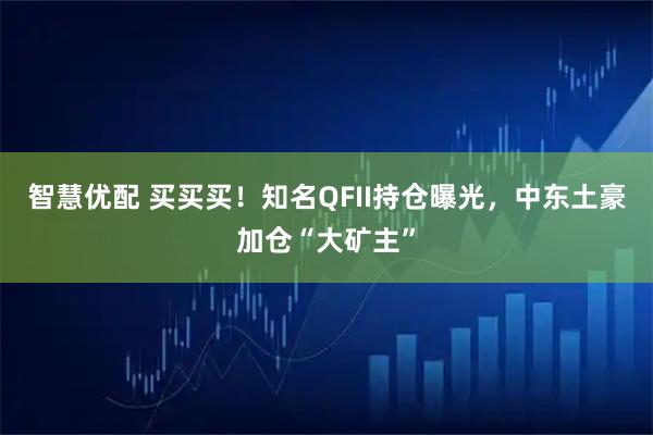 智慧优配 买买买！知名QFII持仓曝光，中东土豪加仓“大矿主”