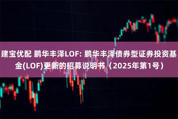 建宝优配 鹏华丰泽LOF: 鹏华丰泽债券型证券投资基金(LOF)更新的招募说明书(2025年第1号)