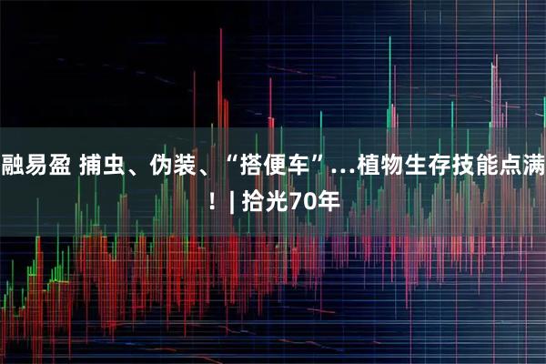 融易盈 捕虫、伪装、“搭便车”…植物生存技能点满!| 拾光70年