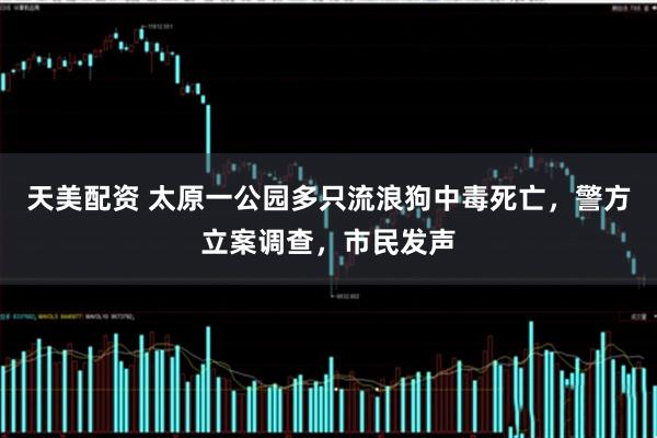 天美配资 太原一公园多只流浪狗中毒死亡，警方立案调查，市民发声